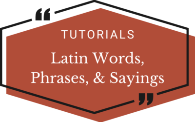 Latin Words and Phrases List